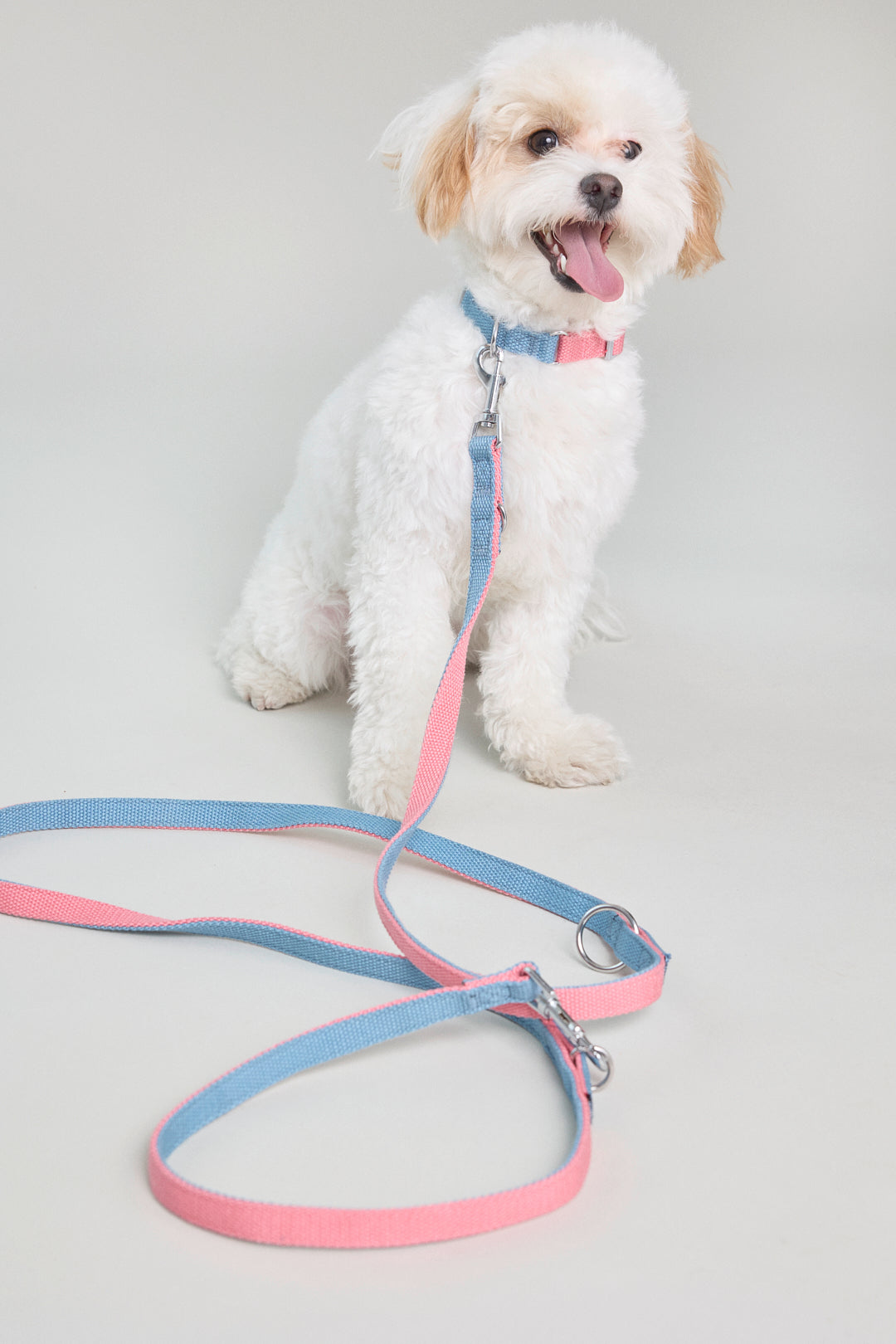 Dog cotton harness leash multicolour multifuntional adjustable for two dogs wearable pink blue Molipop