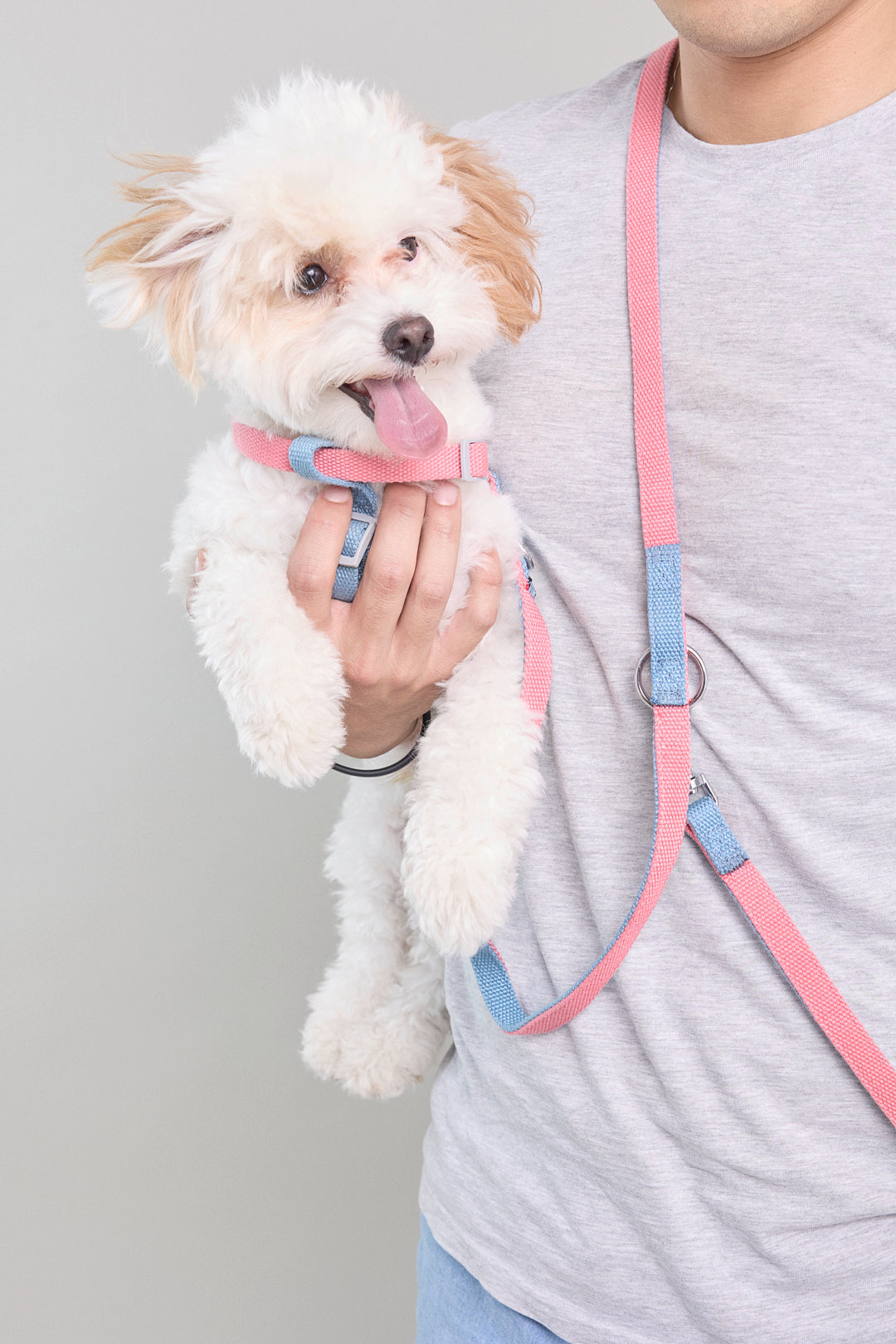 Dog cotton harness multicolour bone buckle adjustable pink blue Molipop