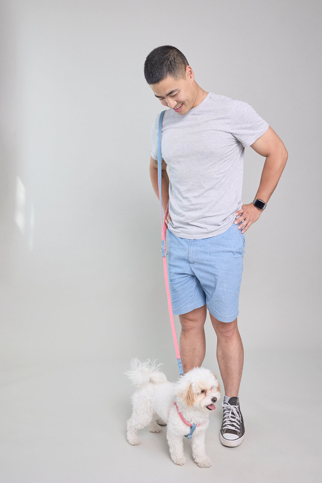 Cotton Candy Dog Leash - Multi-Function for Walking