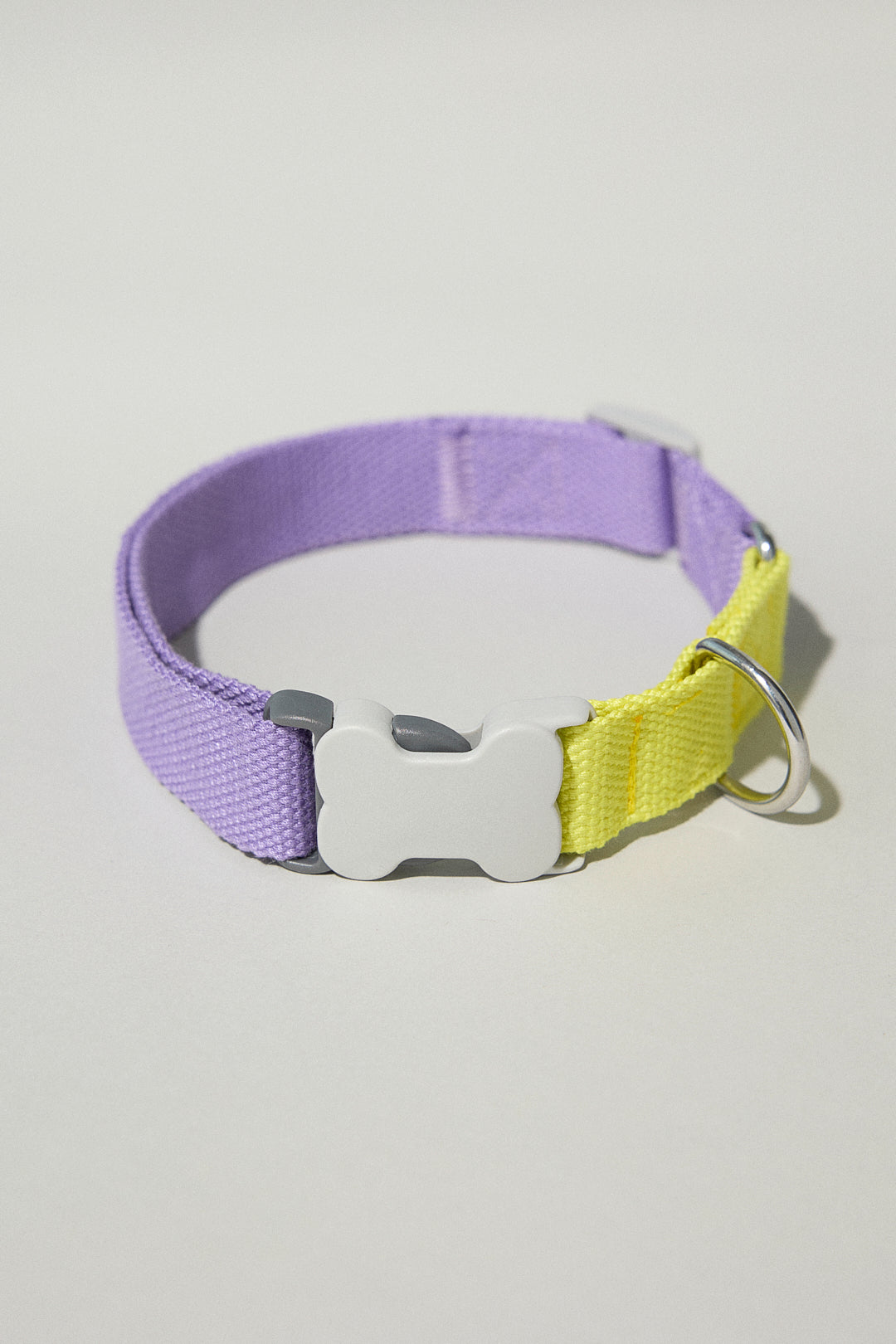 Dog cotton collar multicolour purple lilac yellow bone buckle Molipop