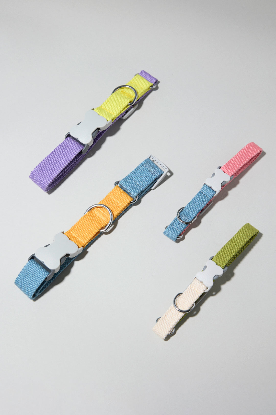 Dog cotton collar multicolour bone buckle adjustable cream white green blue pink orange purple lilac yellow Molipop