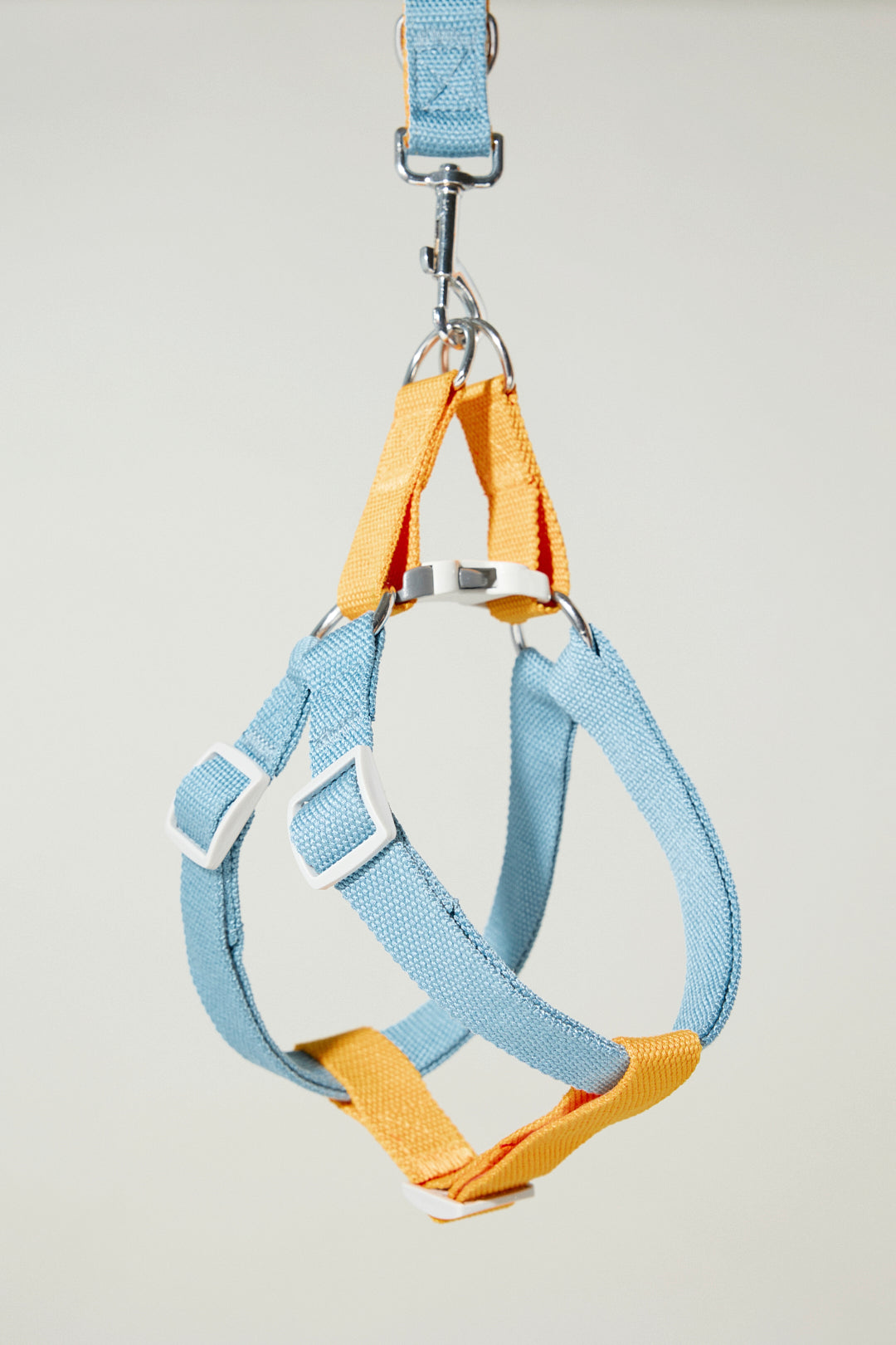 Dog cotton harness bone buckle multicolour blue orange Molipop