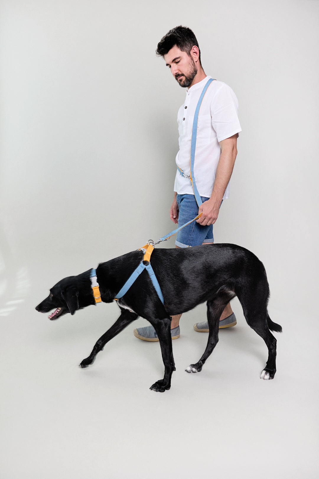 Blue Hawaiian Dog Leash - Multi-Function for Walking