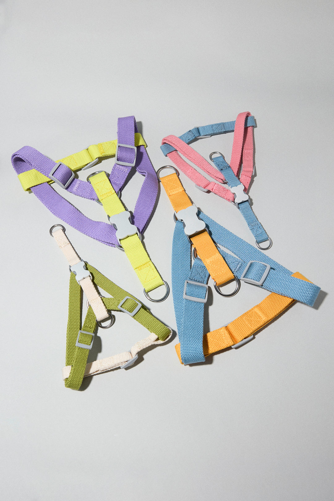 Dog cotton harness multicolour bone buckle adjustable pink blue orange cream white green purple lilac yellow Molipop