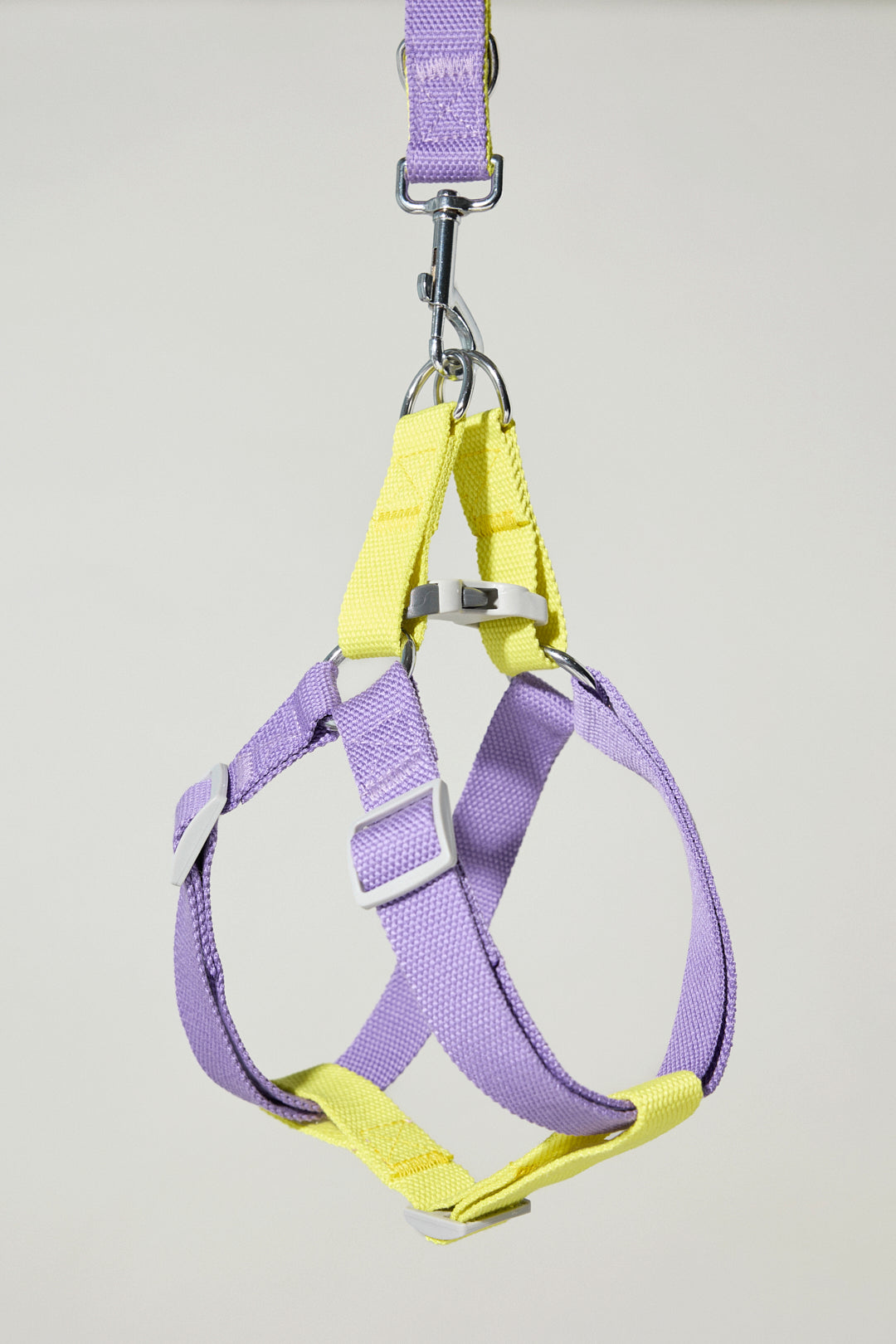 Dog cotton harness multicolour bone buckle purple lilac yellow adjustable Molipop