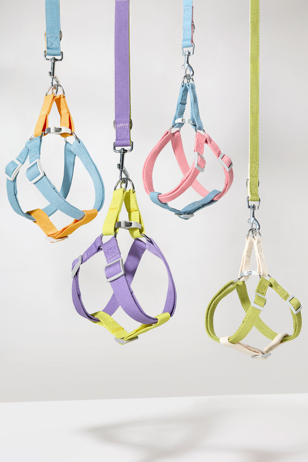 Dog cotton multicolour ajustable harness bone buckles pink orange blue yellow lilac purple cream white green Molipop
