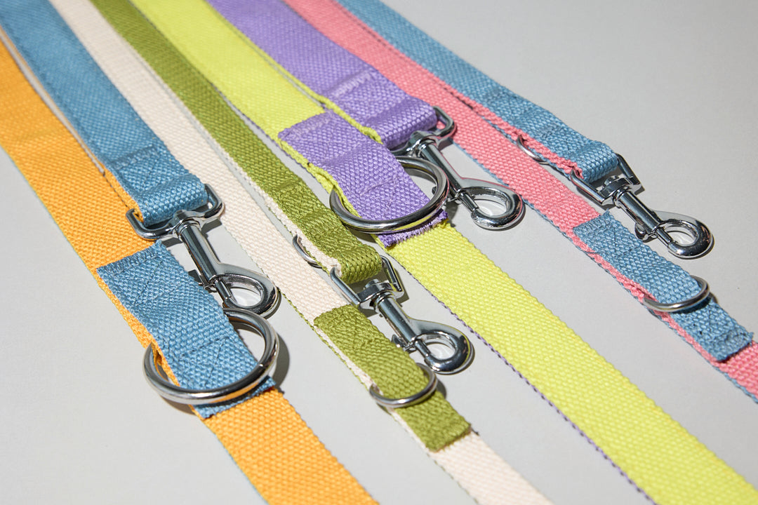 Dog walking leash multicolour multifuntional adjustable wearable 2 meters walking 2 dogs at a time pink blue orange purple lilac yellow cream white green Molipop