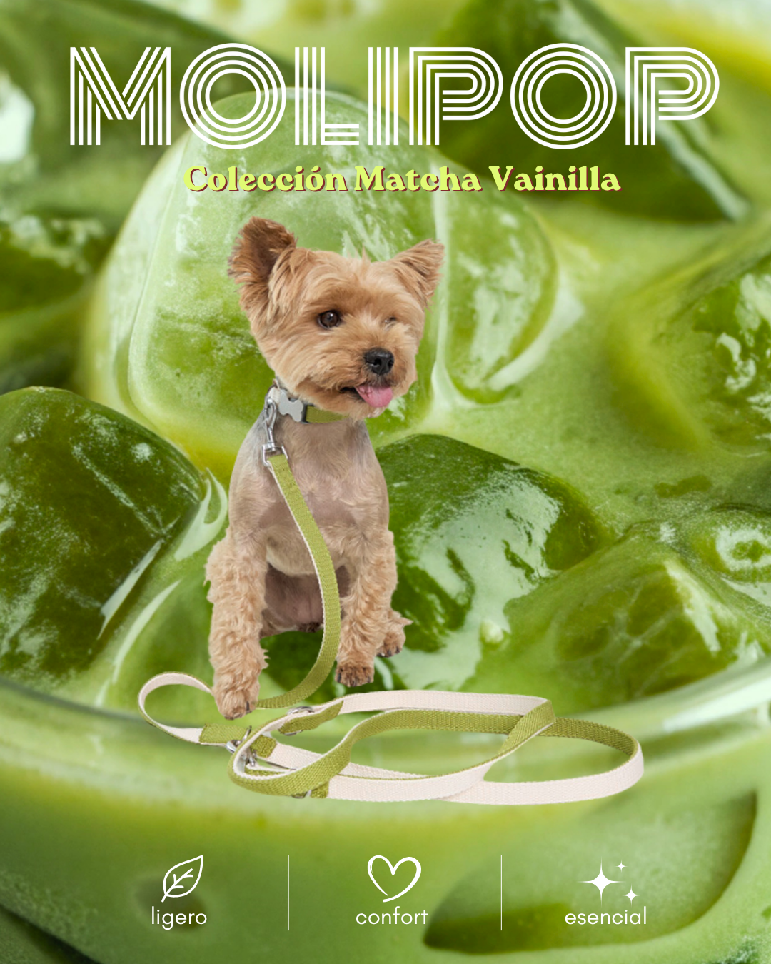 green white dog leash collar harness