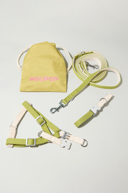 Conjunto Completo Matcha Vainilla XS-S