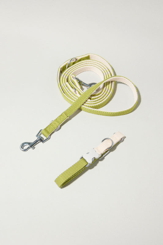 Dúo Collar + Correa - Matcha Vainilla XS-S