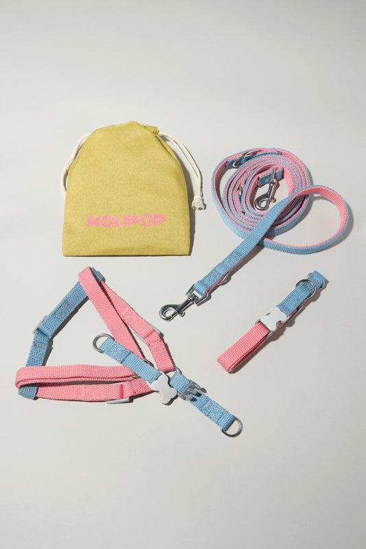 Conjunto Completo Helado de Fresa XS-S