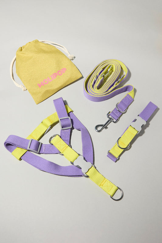 Conjunto Completo Arándano Banana M-L