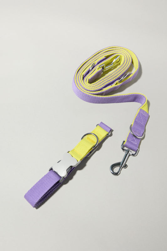 Dúo Collar + Correa - Arándano Banana M-L