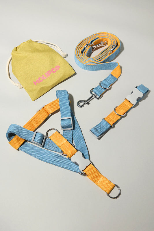 Conjunto Completo Naranja Spritz M-L