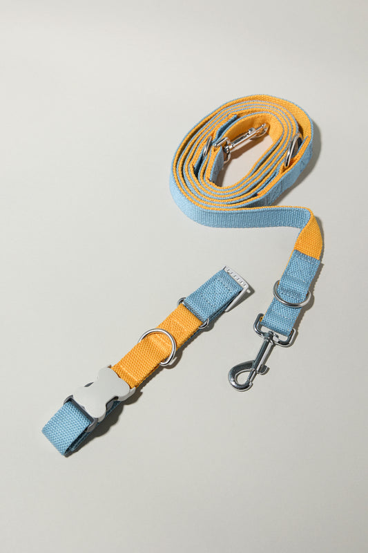 Dúo Collar + Correa - Naranja Spritz M-L