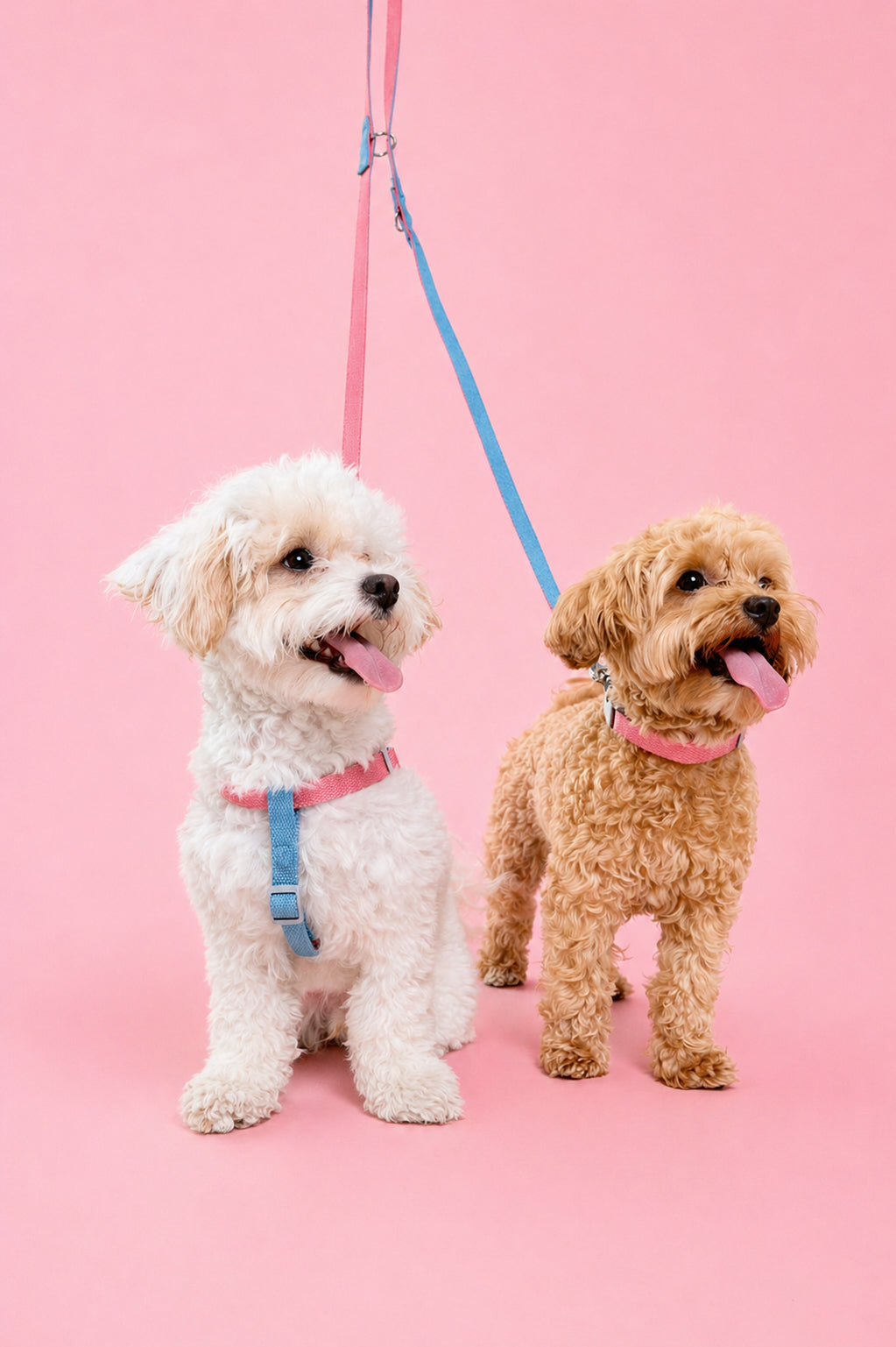 Strawberry Ice Cream Dog Leash - XS/S