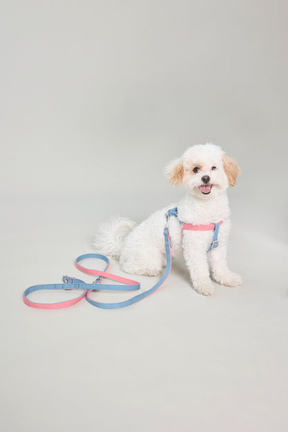 Dog cotton harness multicolour bone buckle adjustable pink blue Molipop