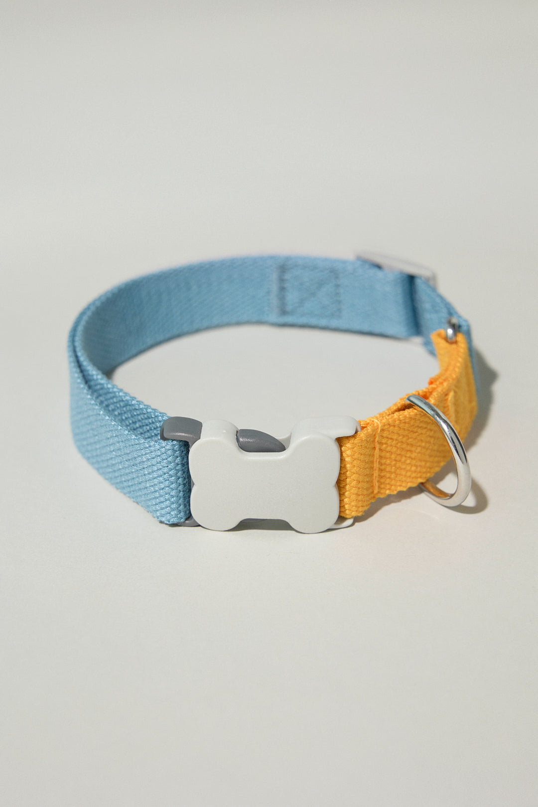 Dog cotton collar blue orange bone buckle Molipop
