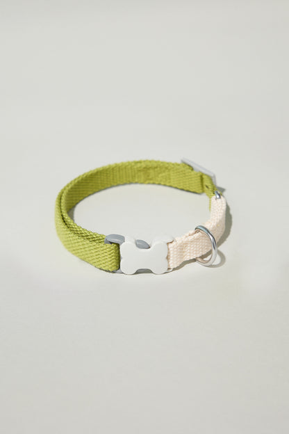 Dog cotton collar multicolour bone buckle cream white green adjustable Molipop