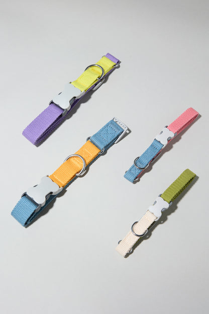 Dog cotton collar multicolour bone buckle yellow purple lilac orange blue pink cream white green Molipop