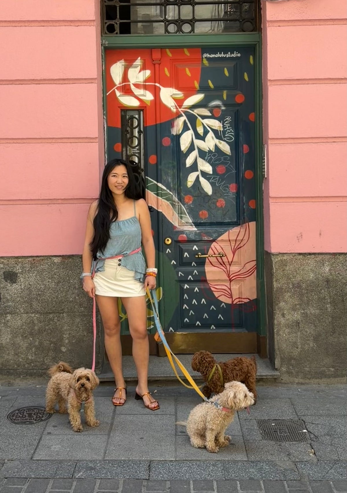 Strawberry Ice Cream Dog Leash - XS/S