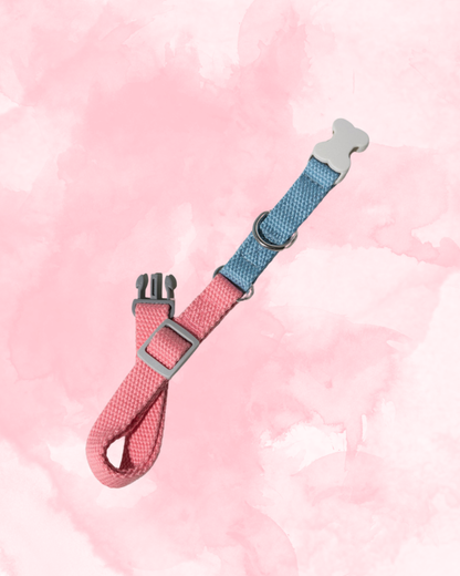 Strawberry Ice Cream Collar - XS/S