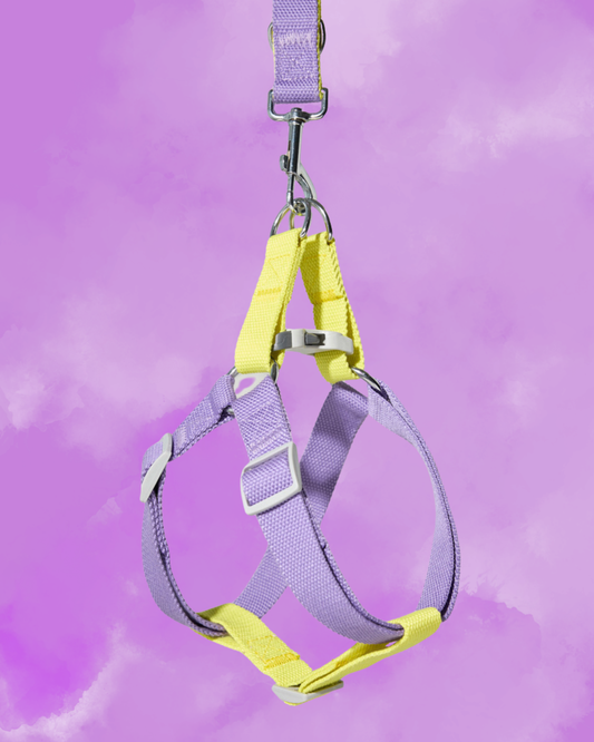 Blueberry Banana Harness - M/L