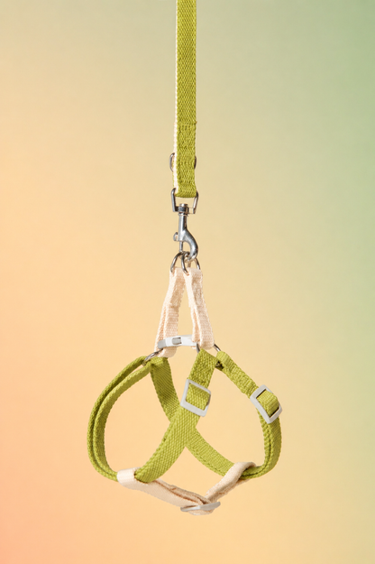 Matcha Vanilla Harness - XS/S