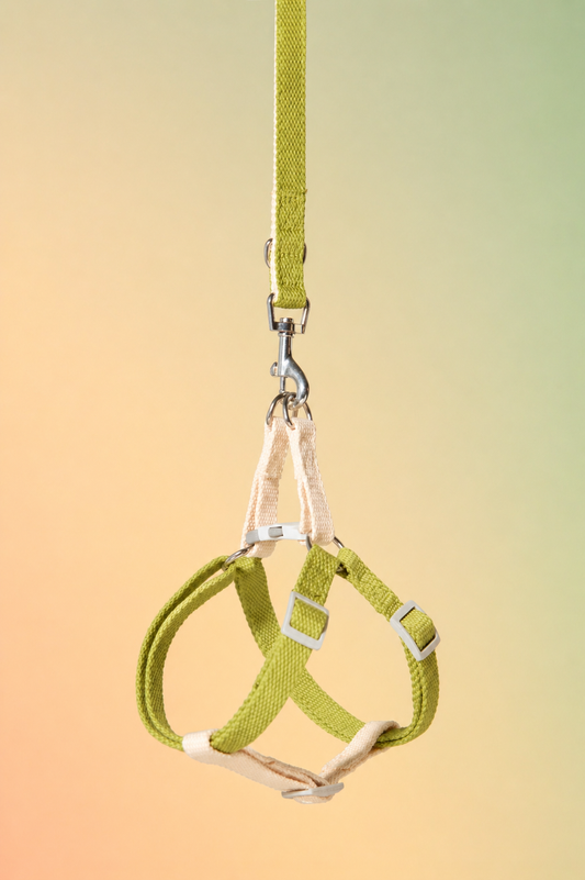 Pistachio Vanilla Harness for Small Dog
