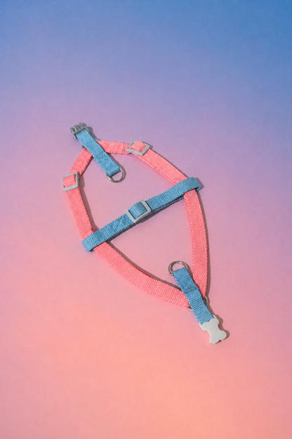 Strawberry Ice Cream Harness - XS/S