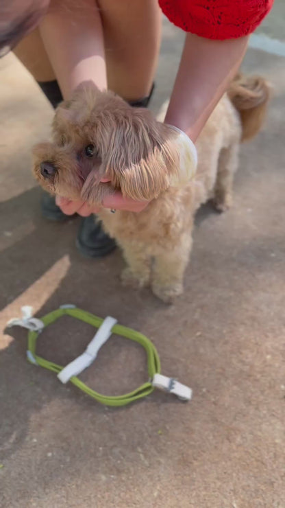 Matcha Vanilla Harness - XS/S